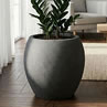 Amphora