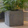 Cube