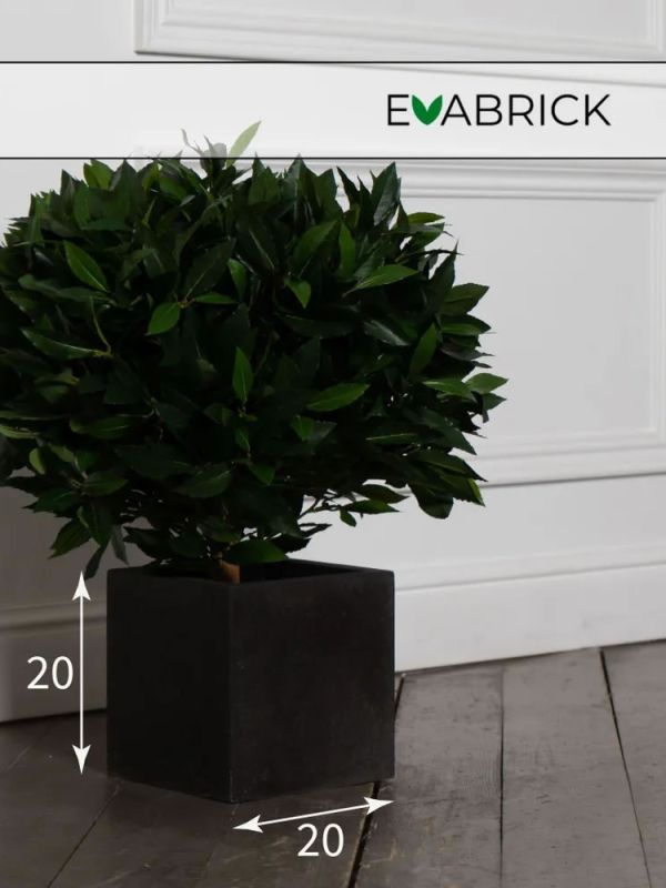 Evaform Cube 5 л, 20*20 см, 4 кг, черный, куб