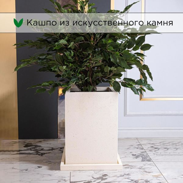 Evaform Cube 51 л, 50*35 см, 17.5 кг, бежевый, куб с поддоном