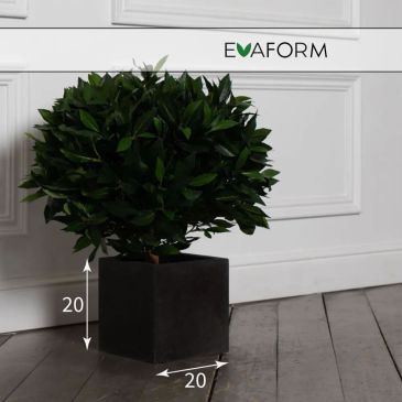 Кашпо Evaform Cube 5 л, 20×20 см, чёрное